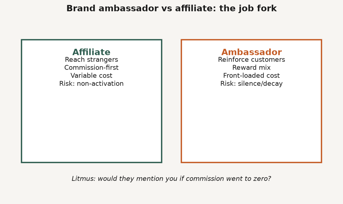 Framework diagram comparing brand ambassador vs affiliate on who they are, why they promote, cost shape, and primary risk